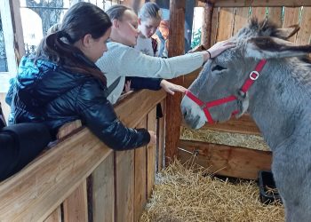 ÉLŐ BETLEHEM A RANOLDER ISKOLA UDVARÁN!