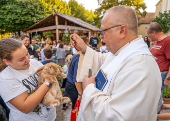 „Áldott légy, Uram, minden teremtményeddel!” – állatszentelés a keszthelyi Ranolder Iskolában